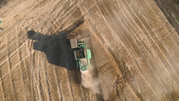 Aerial View on the Harvesters Working on the Large Wheat Field. Harvesting Agricultural Golden Ripe