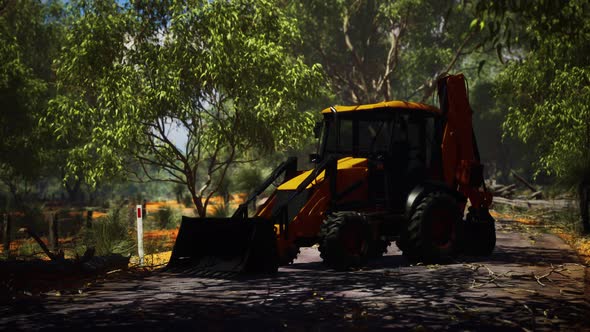 Excavator Tractor in Bush Forest