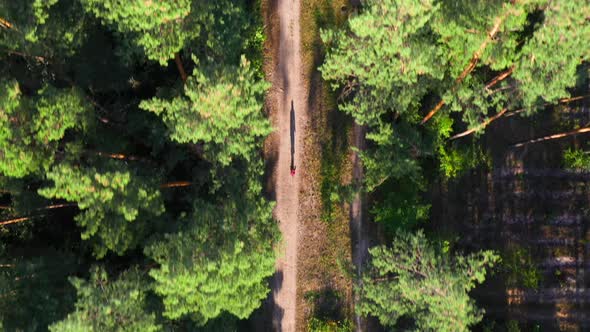 Aerial top view of a cyclist riding a dirt path in the forest on an autumn evening