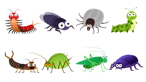 Cartoon Insects 4