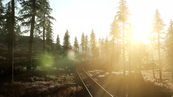 Flight Over A Railway Surrounded By Forest with Sunbeams