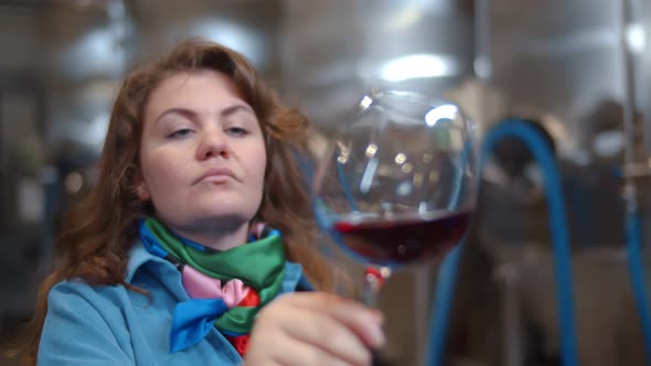 Young Woman Sommelier Tasting in Wine Factory Workshop