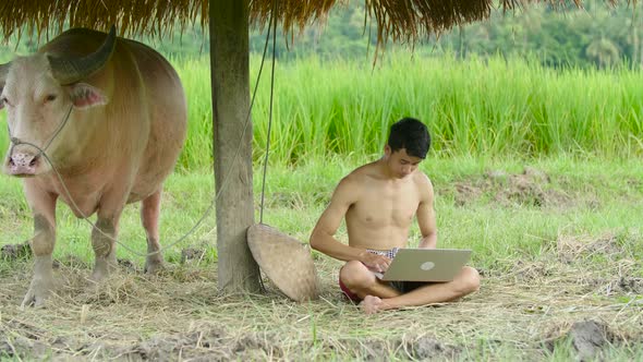 Asian Farmer Using Computer At The Farm