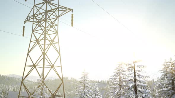 Electric Line at Sunrise alt