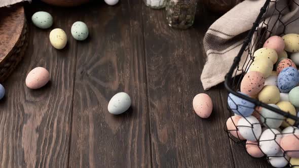 Easter colorful quail eggs