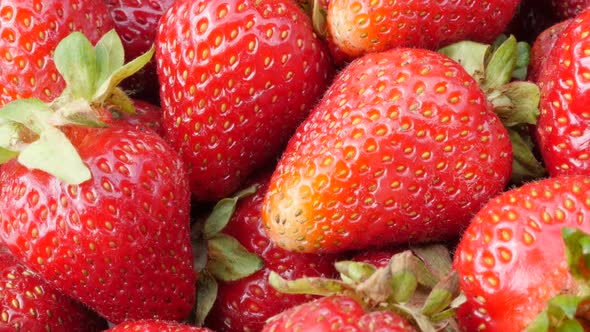 Garden strawberries  pile food and fruit background 4K 3840X2160 30fps UHD video - Red Fragaria anan