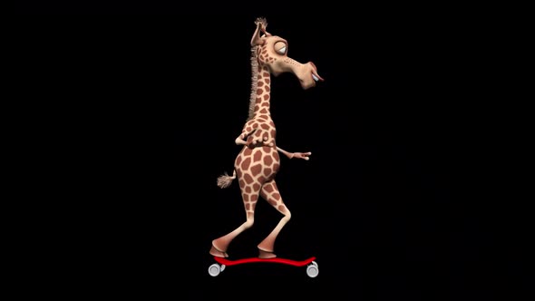 Funny 3D Giraffe Skateboard  Looped with Alpha Channel