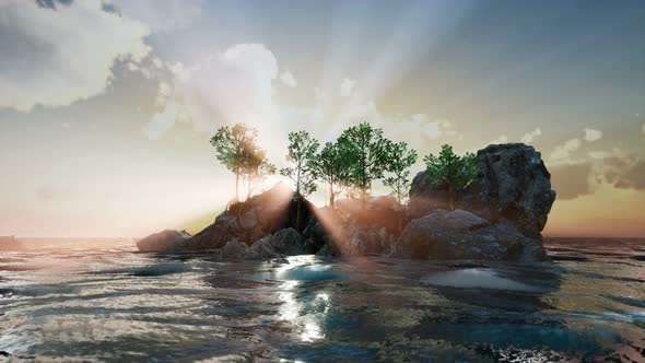 Rocky Island with Trees As Ocean