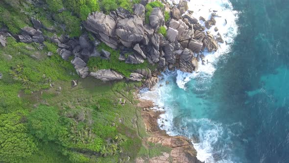 Aerial View of Tropical Island with Sea Vegetation and Shoreline