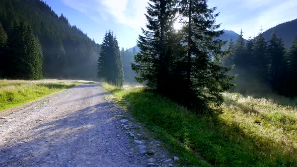 Footpath in the valley Chocholowska at sunrise, Tatra Mountains, Poland