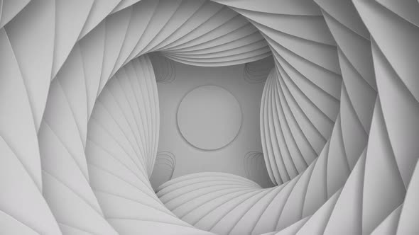 Unfolding Geometric 3d Paper Flower