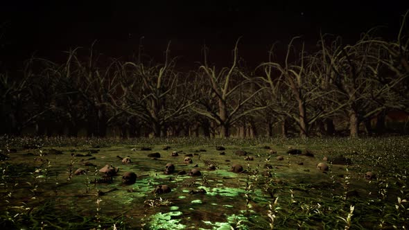 Human Bones On The Polluted Dead Forest Ground 4K 06(Side Move)