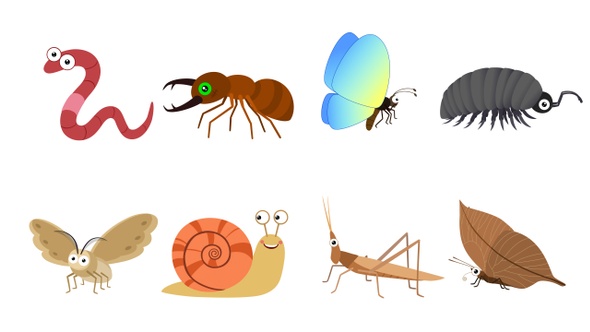 Cartoon Insects 5