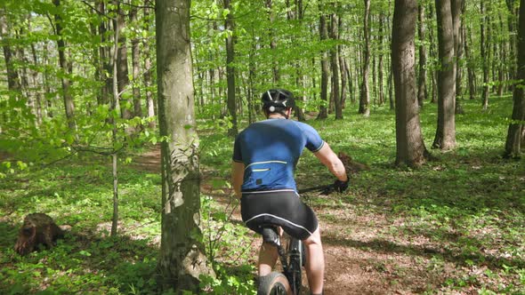 A Man on a Bicycle is Riding Along a Forest Path