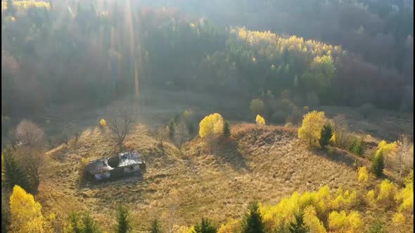 Autumn foliage in the mountains.