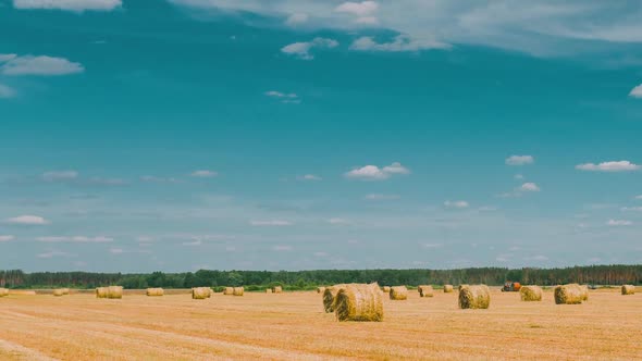 Rural Landscape Field Meadow With Hay Bales After Harvest