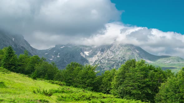 Landscapes in the Mountains with Trees and Field of Komovi National Park Montenegro