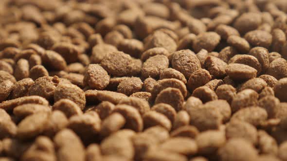 Pet pellets on  pile shallow DOF 4K 2160p 30fps UltraHD footage - Dry cat or dog food close-up  3840