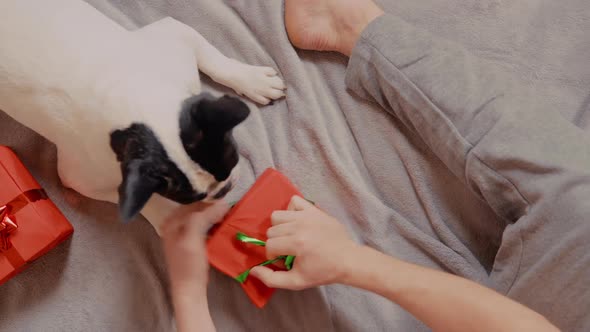 Guy Celebrating New Year with Lovely Pet