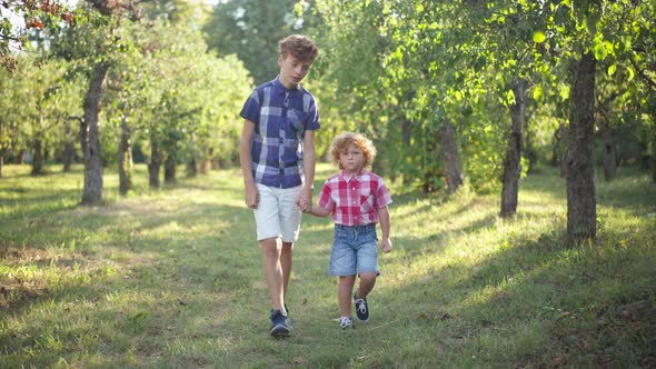 Wide Shot Front View Relaxed Positive Teenage and Little Brothers Walking in Sunshine in Summer Park