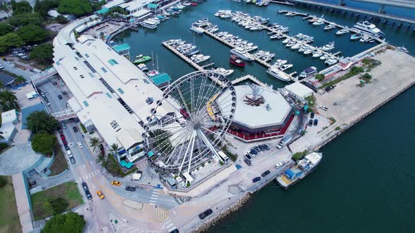 Cityscape Miami Florida United States. Touristic landmark of city.