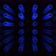 3D Neon Tubes - VideoHive Item for Sale