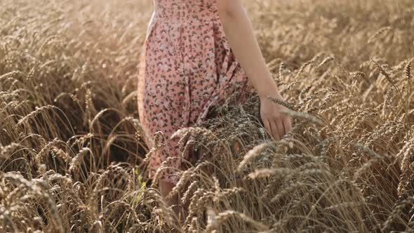 Beautiful Young Girl at Sunset Field