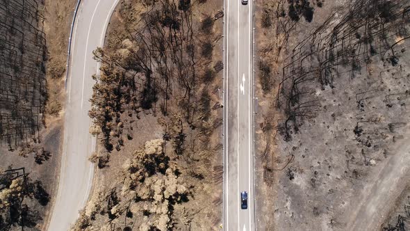 Road after Foret Fire