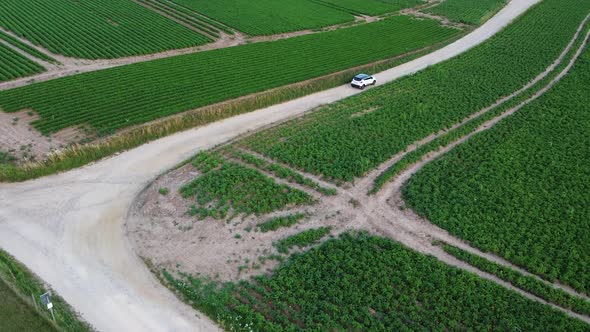 Car driving through the potato fields in Belgium.