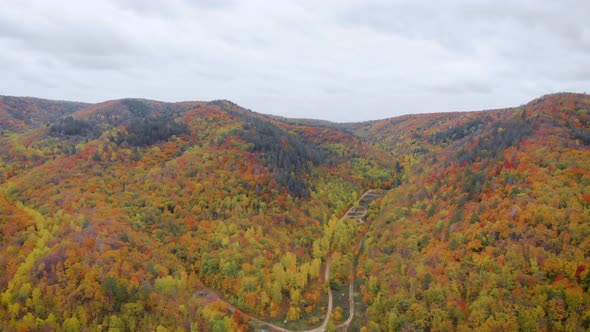 Aerial View. Hills Covered with Autumn Trees. Yellow and Orange Leaves Look Beautiful in the Fall.