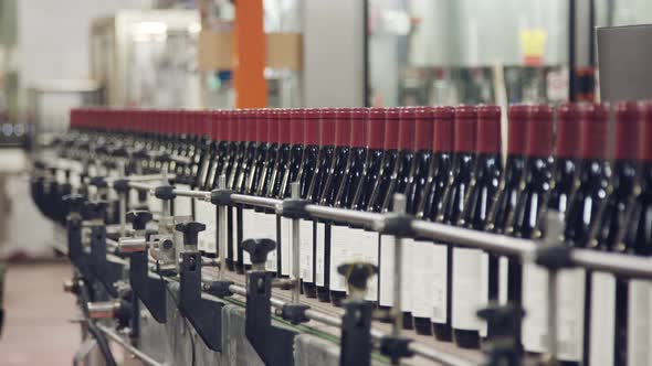 Red Wine bottles on a conveyor belt in a wine bottling factory.