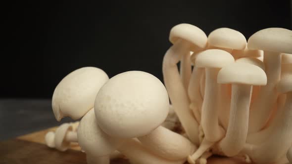 White Shimeji Mushrooms 01