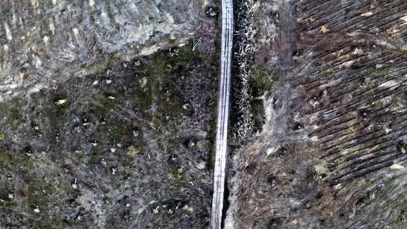 Top down view of deforestation in Poland