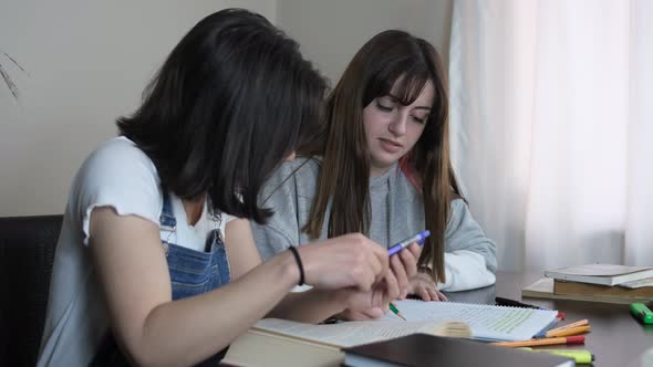 Two Learner Studying Together