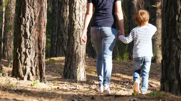 Happy Family Walking in the Woods Enjoying Nature. A Mother Holds Her Son's Hand. Lifestyle.