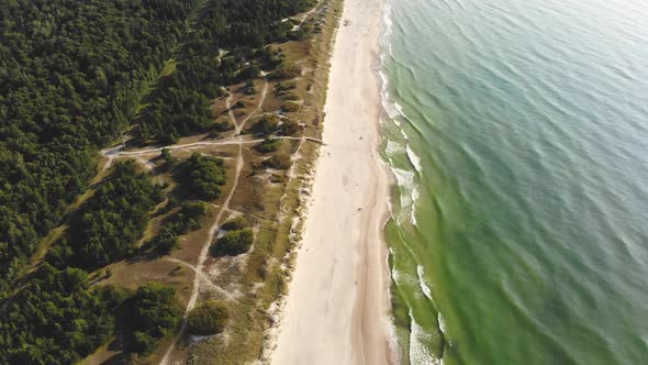 AERIAL: Flying backwards and revealing sandy beach near the forest and Baltic Sea
