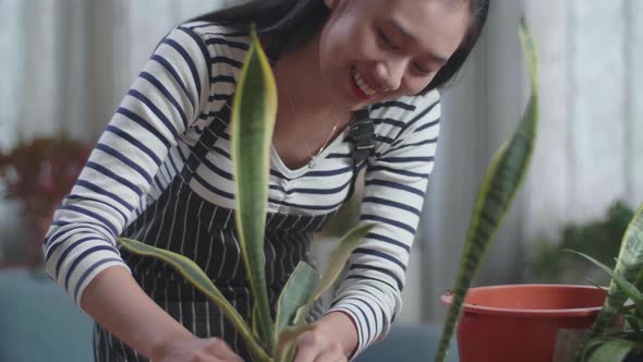 Close Up Of Smiling Asian Woman Planting At Home