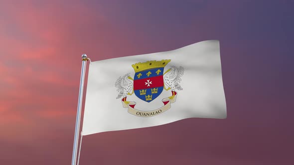 Flag Of Saint Barthelemy Waving 4k