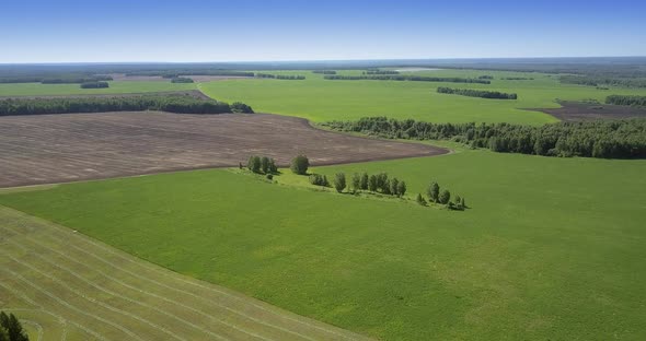 Breathtaking Nature with Green and Mown Fields Near Forests