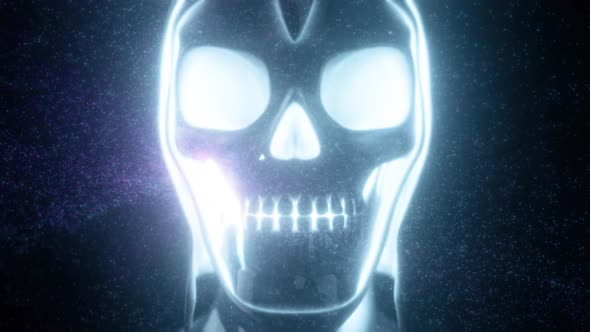 Digital Human Skull Scanning 4k alt