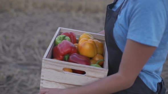 Farmer Holding a Box of Freshly Picked Organic Vegetables