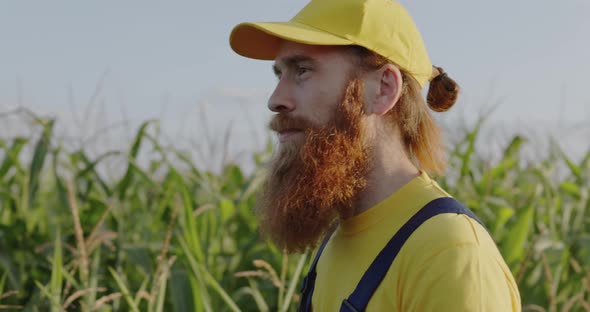 A Farmer in a Corn Field