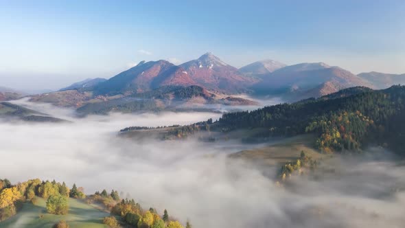 Aerial View of Misty Country Forest Park Valley in Alpine Mountains in Sunny Autumn Nature