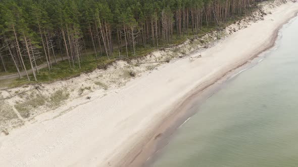 Forest Beach at Baltic Sea Bank