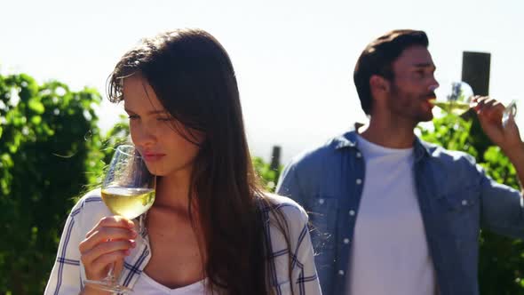 Couple having wine in vineyard