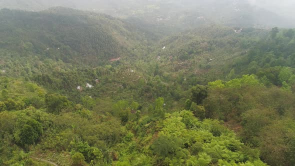 Farmlands and Village Bali Indonesia