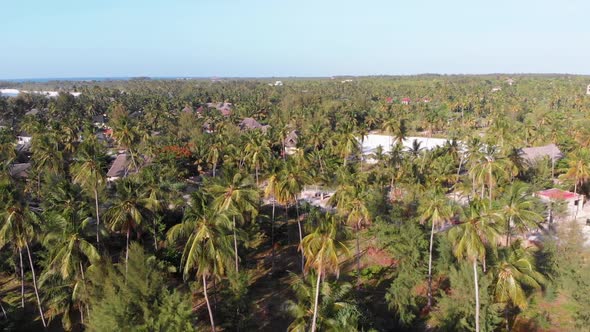 Paradise Coast Resort with Palm Trees and Hotels By Ocean Zanzibar Aerial View