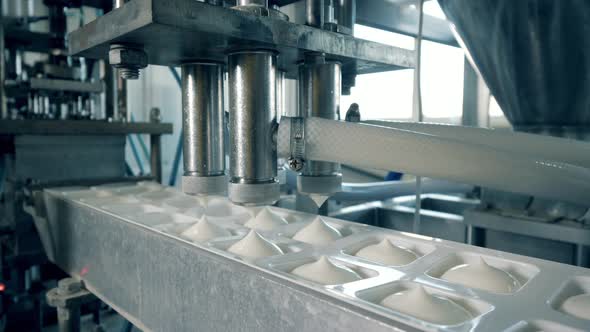 White Dairy Substance Is Filling Containers on the Conveyor