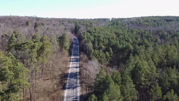 Aerial Country Road in Forest in the Evening at Twilight