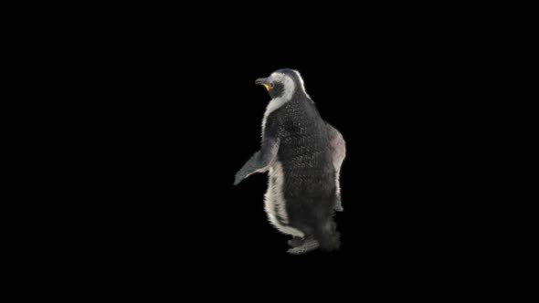 80 Penguin Dancing HD